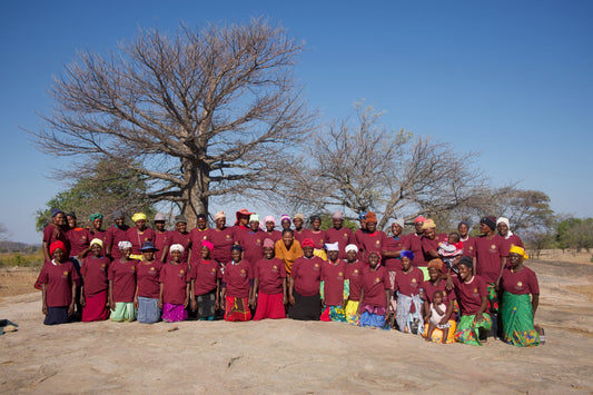 big group of women's cooperative standing and kneeling in front of a large baoba tree